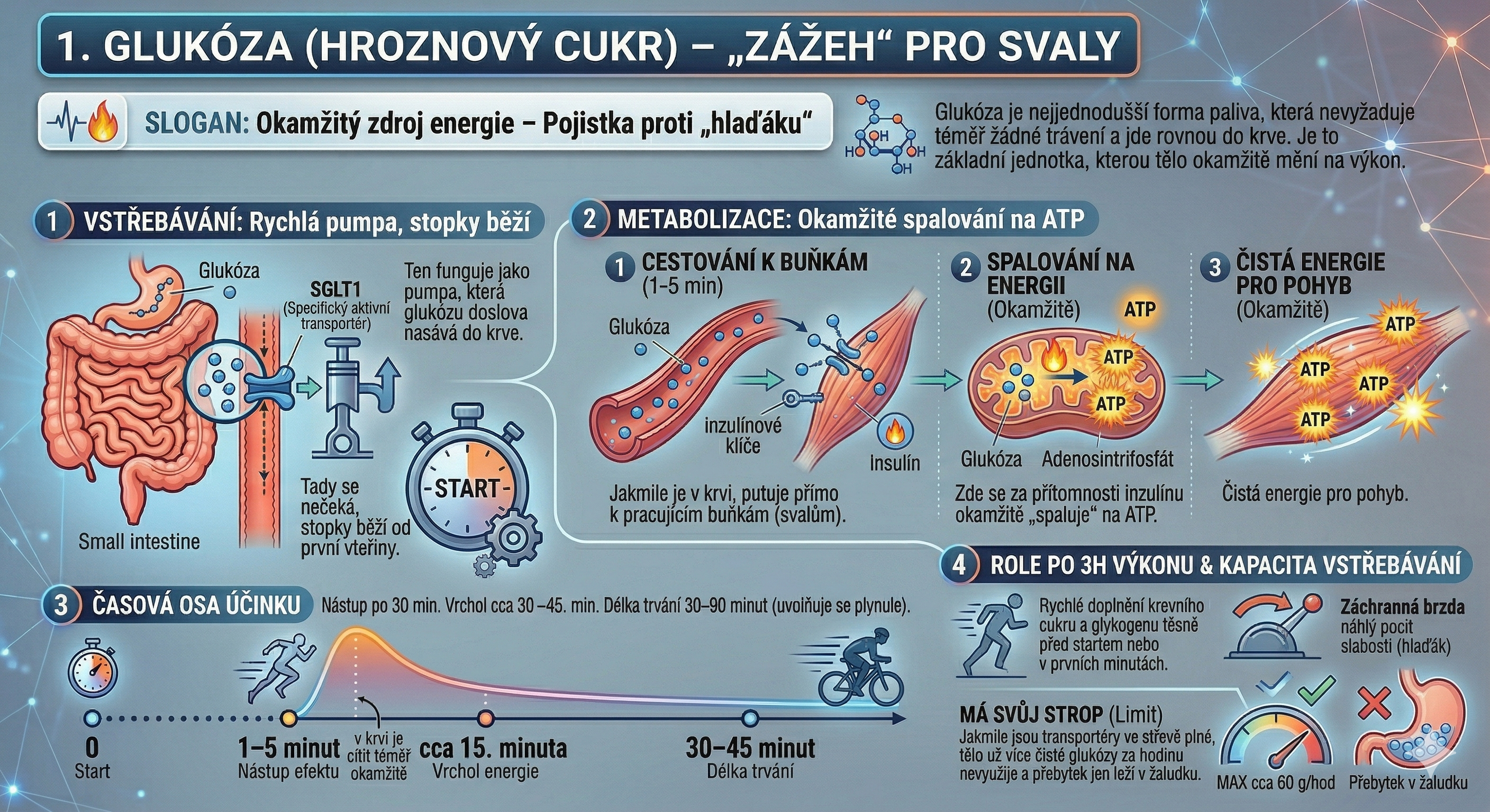 komplexni-infografika-glukoza